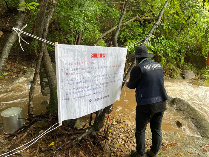 춘천국유림 산림 불법단속.jpeg
