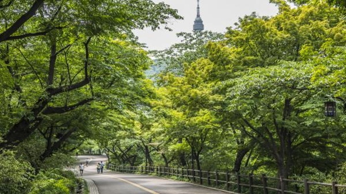 사진3.서울특별시 강북구 남산공원 도시숲.jpg