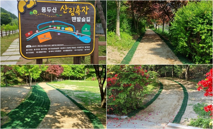 용두산 산림욕장 맨발숲길 조성.jpg