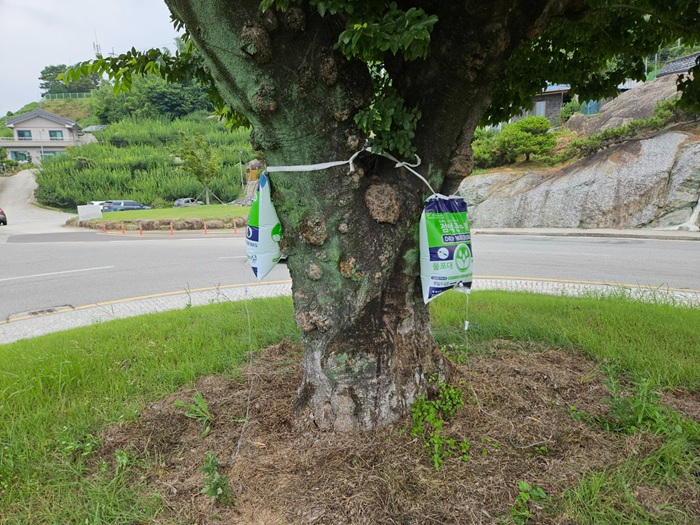 4.물주머니 부착.jpg