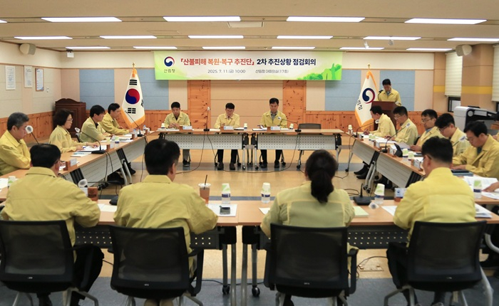 사진2.이미라 산림청 차장이 11일 대전정부청사에서 ‘산불피해 복원·복구 추진단 2차 추진상황 점검회의'를 하고 있다.jpg