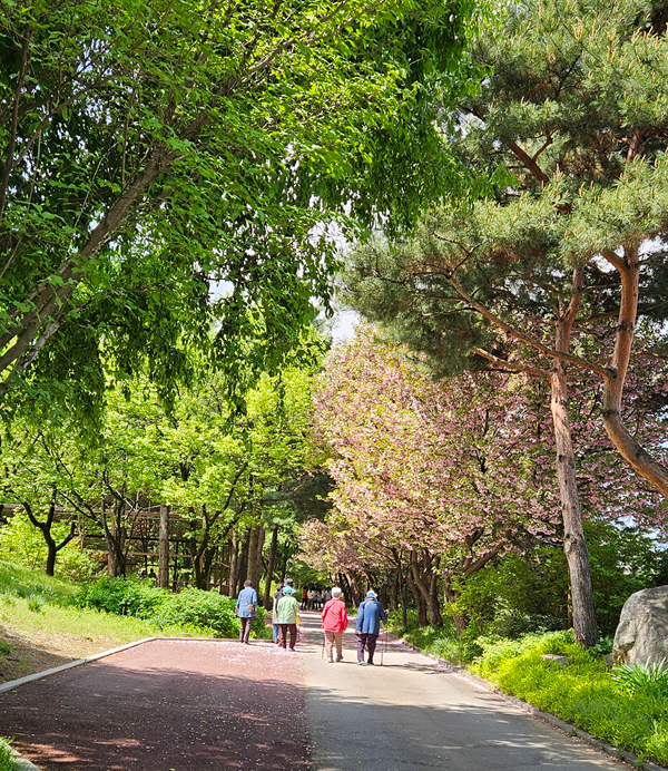 4.춘천숲체원.png