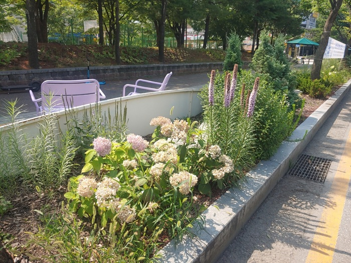 4-3) 수원시, 도심 속 꽃길·녹지공간 조성했다 (3).jpg