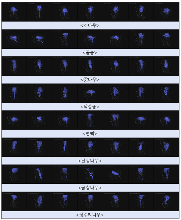 4.나무 수종별 3차원 점군 학습데이터.png