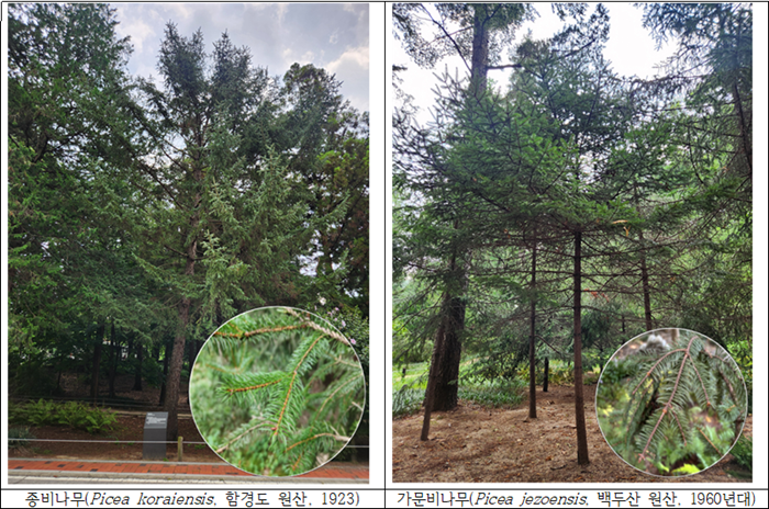 스크린샷 2025-08-12 104014.png
