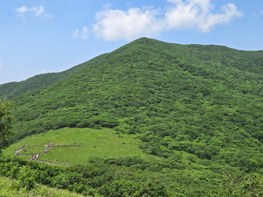 보도자료용 사진-1 (1).jpg