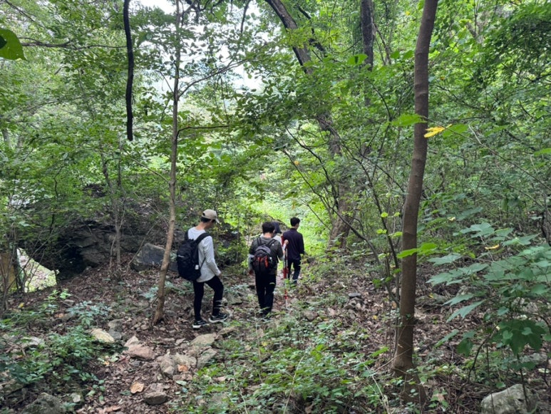 2. 산림겅강과정 설명사진.jpg