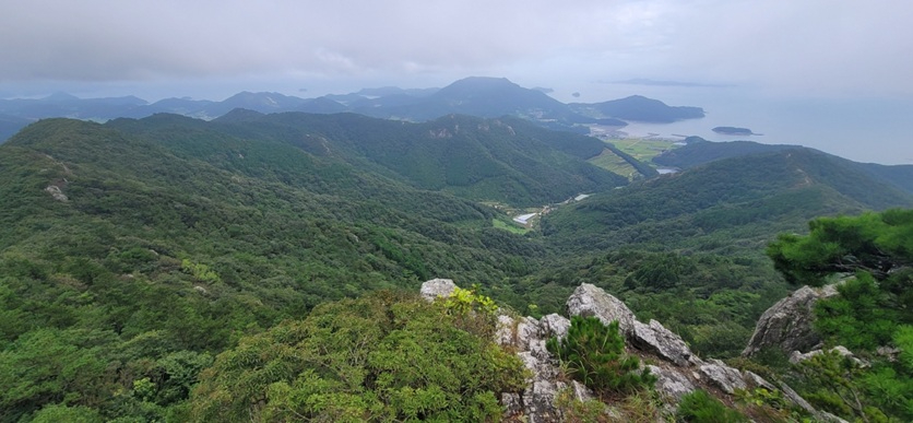 산림 분야 국비 확보-국립 다도해 산림치유원 조성 예정인 고흥 천등산 일원.jpg