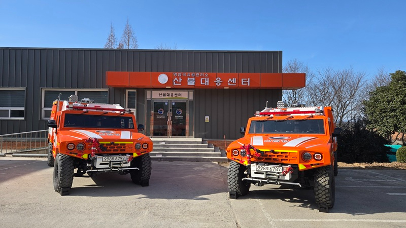 영암국유림1.jpg