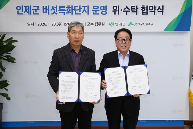 인제군.jpeg