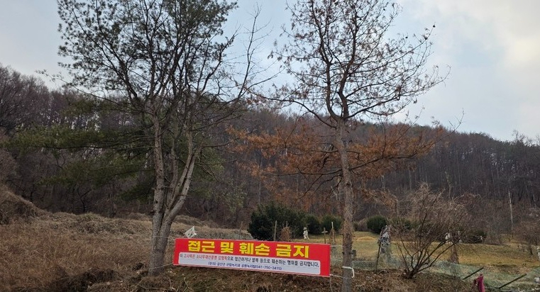 금산군 재선충.jpg