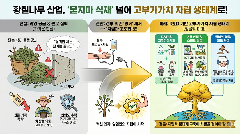 황칠나무2.jpg
