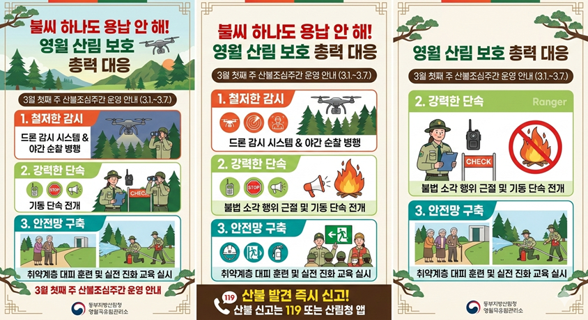 영월국유림 인포.png