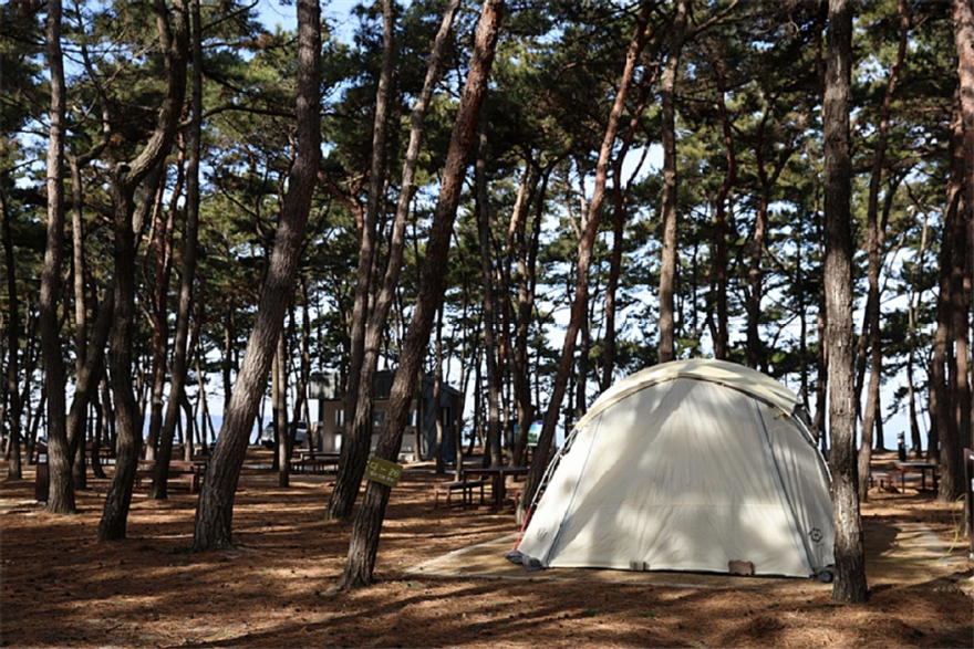 변산반도 고사포야영장(영지).png