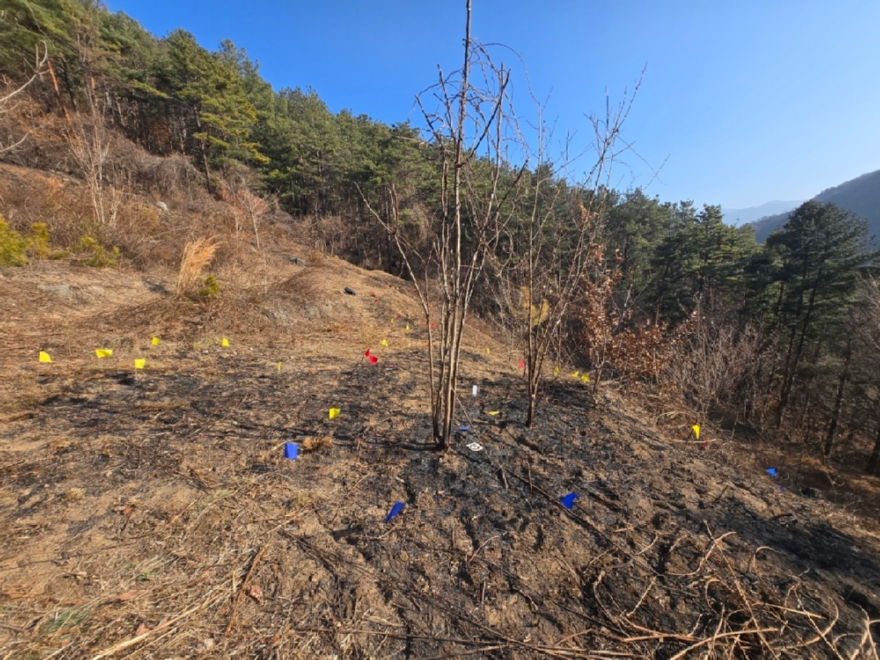 사진2.지난 2월 21일 발생한 경상남도 함양군 산불 발화 지점에서 산림청을 비롯한 관계 기관이 합동조사를 실시하고 있다.jpg