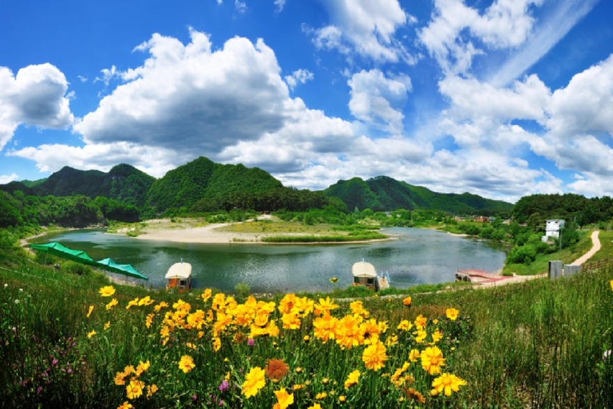 4. 청령포 사진-4.jpg