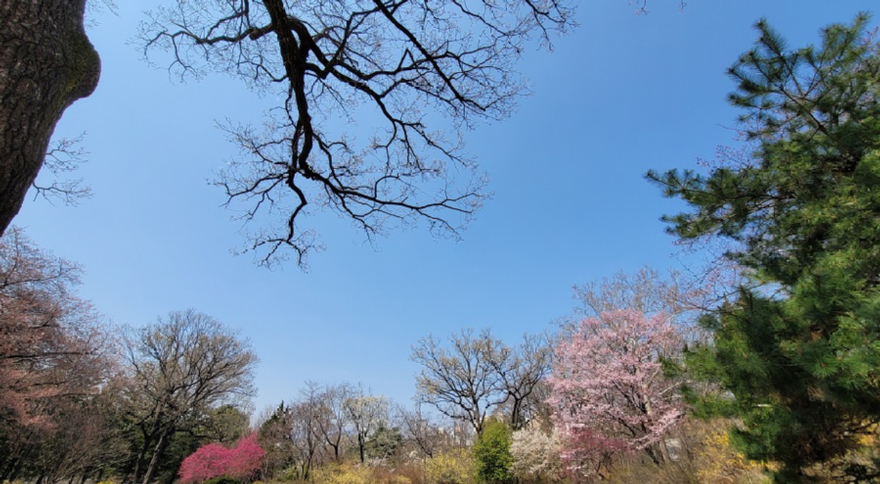 홍릉숲 사진 4.jpg