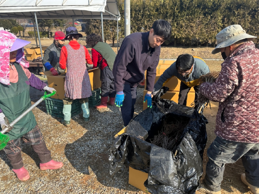 삼척국유림관리소 및 동부지방산림청 양묘장 직원들이 시민 무료배부용 묘목을 운송하는 전경.jpg