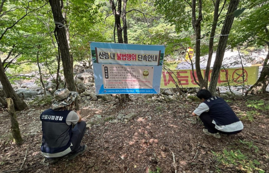 보도자료 사진.jpg