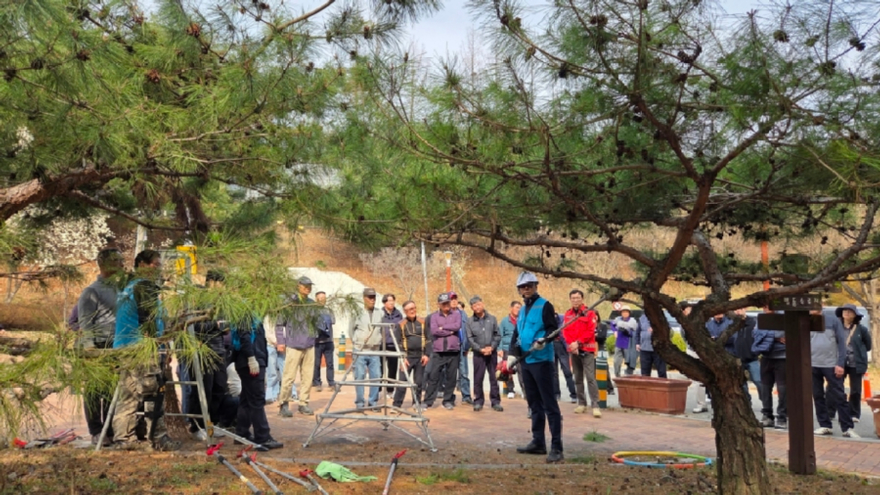 4.찾아가는‘공원 수목관리 현장교육’실시 2.jpg