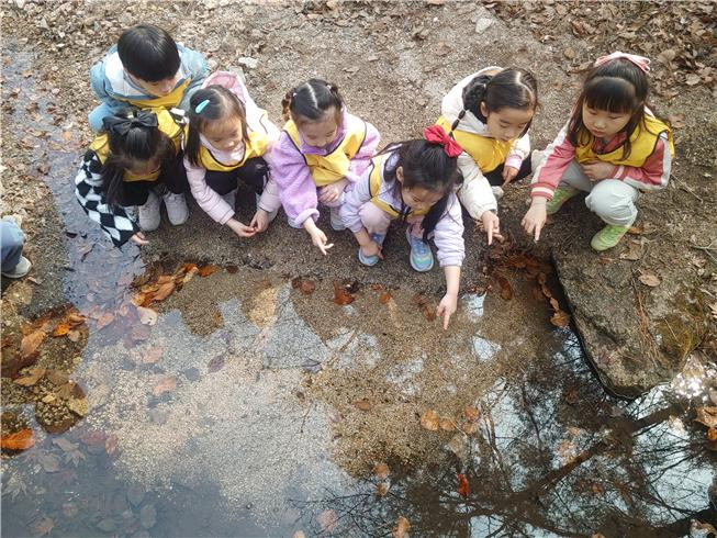 새나유치원 아이들이 북한산 계곡 도롱뇽알을 관찰 모습(사진제공 = 북한산유아숲체험장, 26.3.26) .jpg