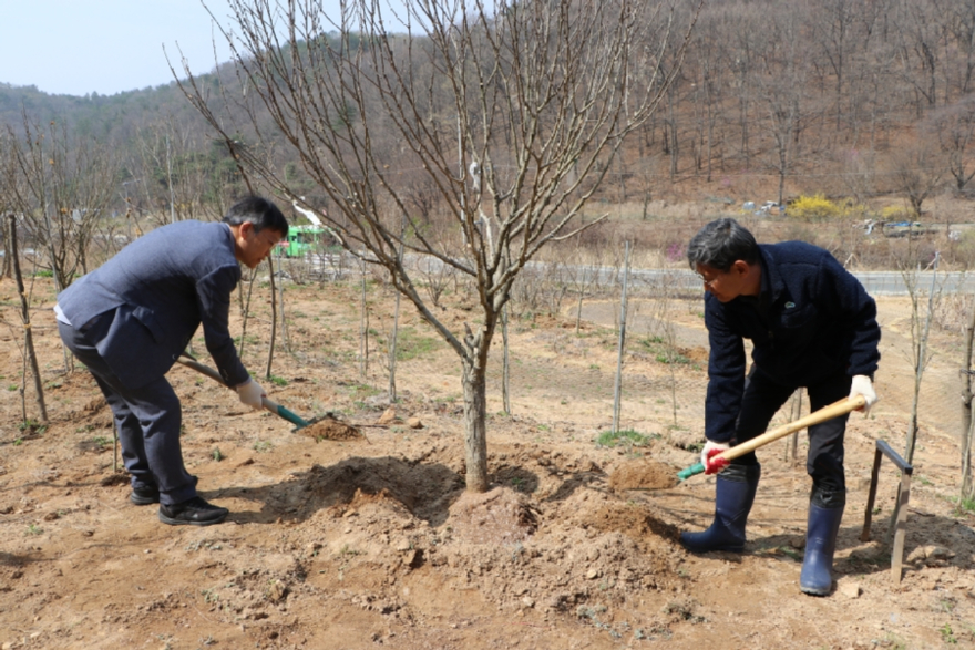 식목행사2.JPG