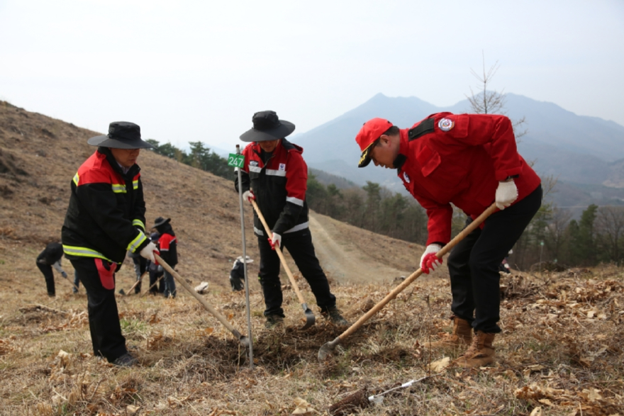 사진자료3_직원들과 나무심기 작업중인 김명관 센터장(오른쪽).JPG