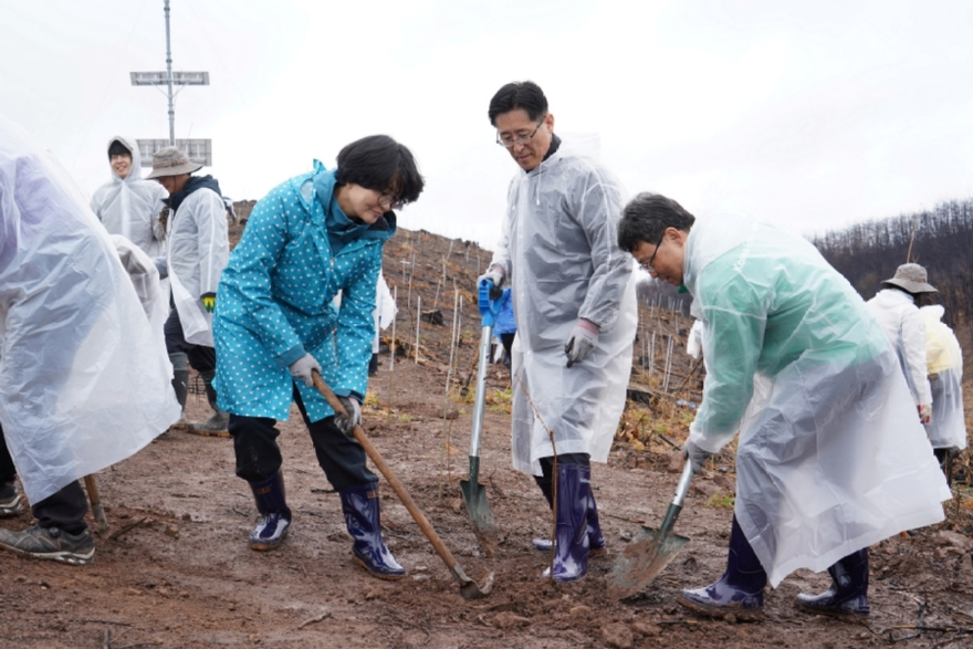 사진1.박은식 산림청장(오른쪽)이 4일 안동 산불피해지에서 임미애 국회의원(왼쪽)과 황명석 경상북도지사 권한대행(가운데)과 함께 산불피해지를 복원하고 있다.jpg