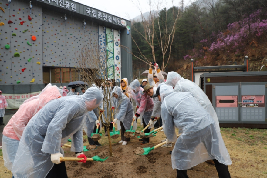 춘천숲체원 26-15호(사진3).JPG