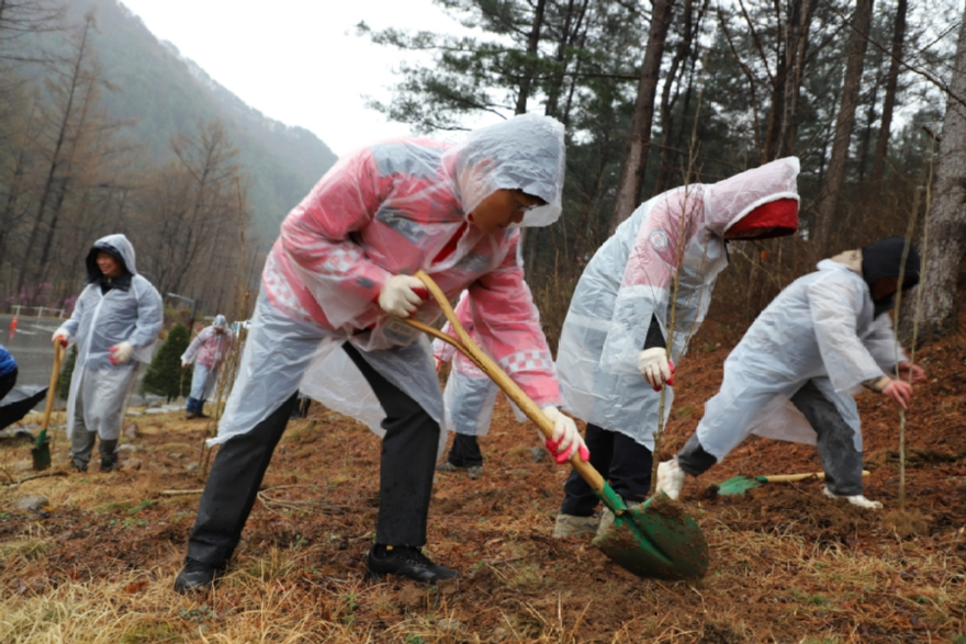 춘천숲체원 26-15호(사진4).JPG