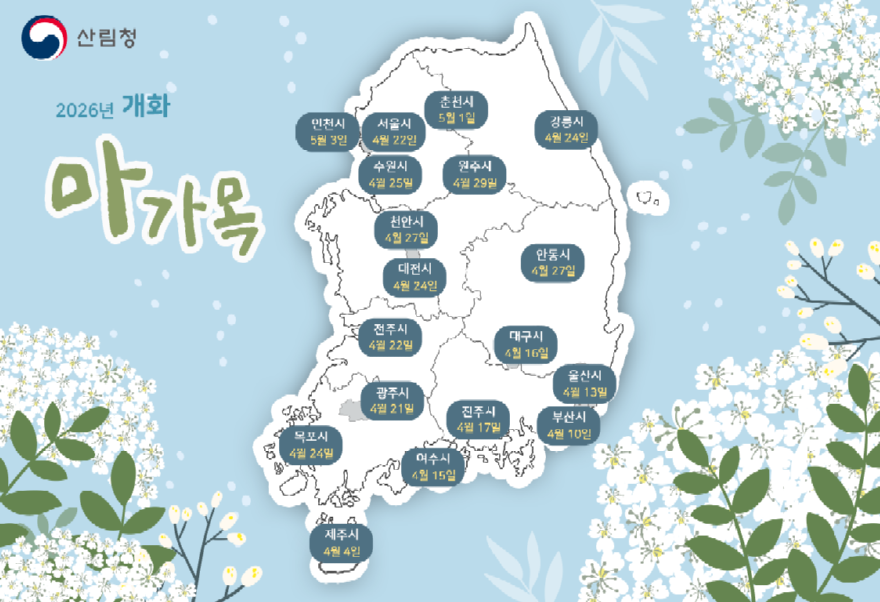 2026 마가목 개화 시기 예측지도.png