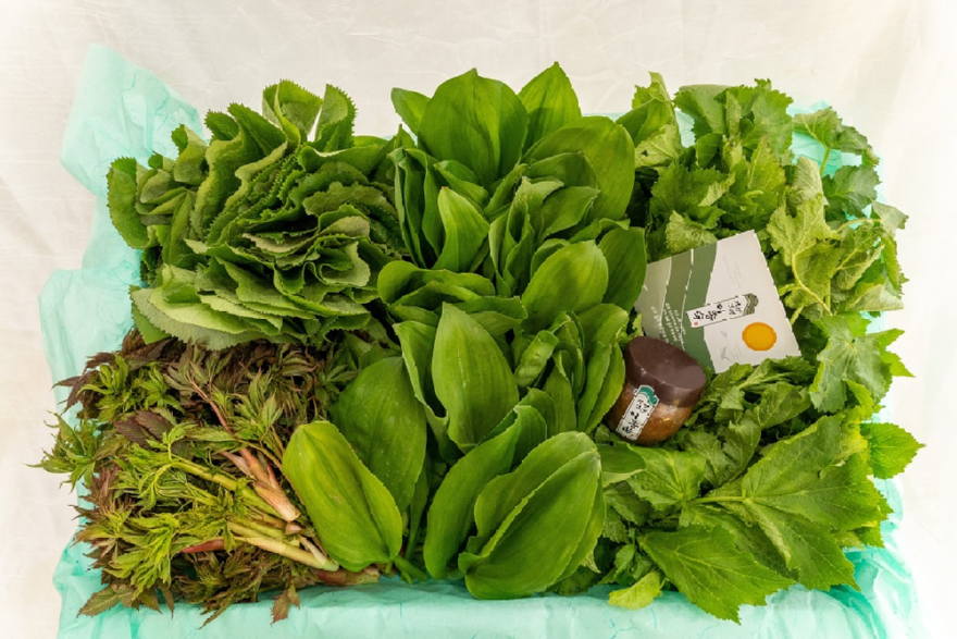 3.영특한 산채꾸러미 사진.jpg