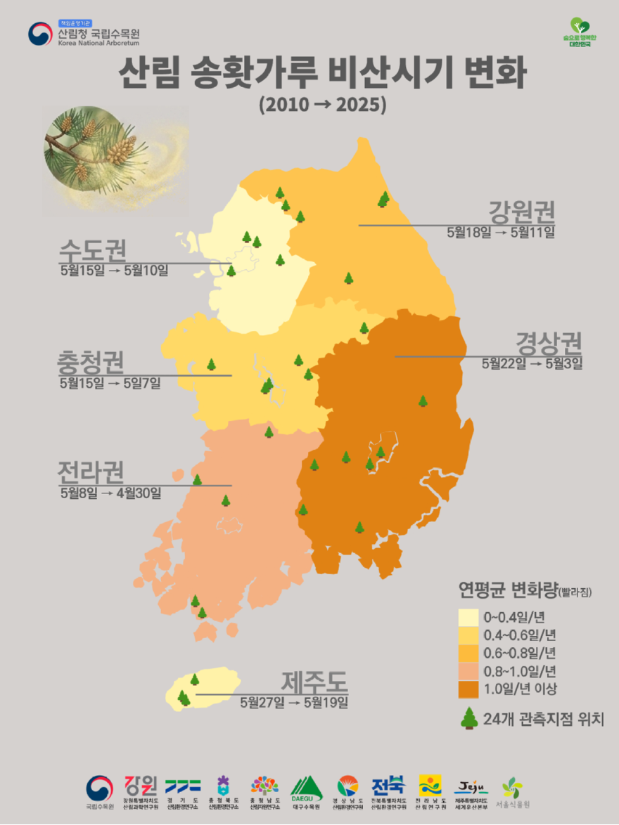 [사진자료]송홧가루 해마다 더 빨리 날린다.png