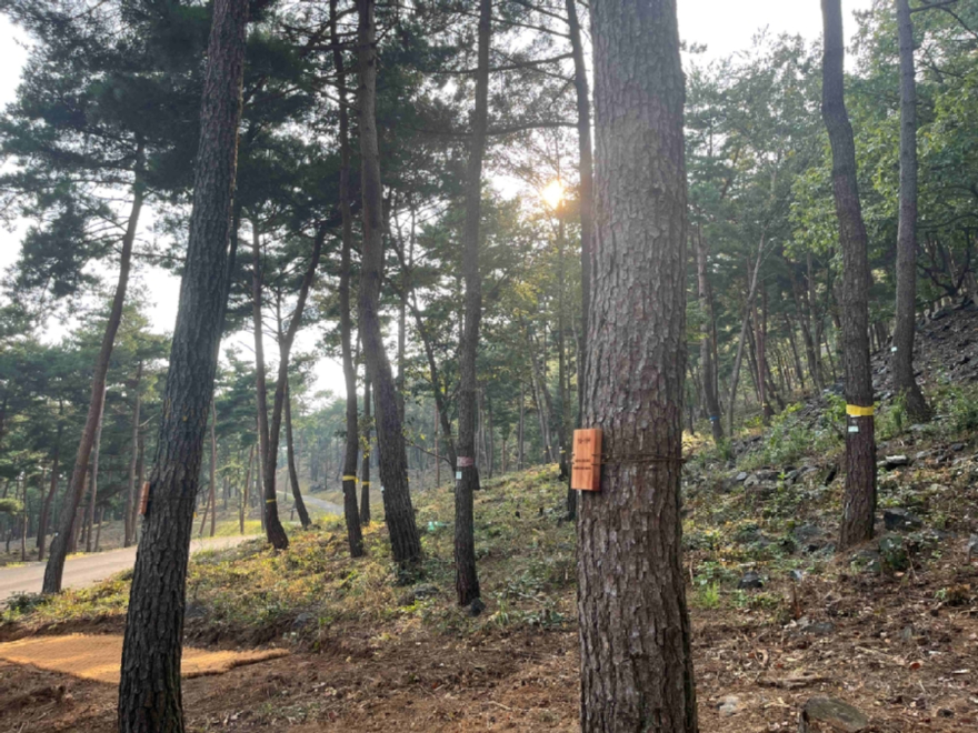 사진2.충청남도 보령시 국립 수목장림 ‘기억의숲’.jpg