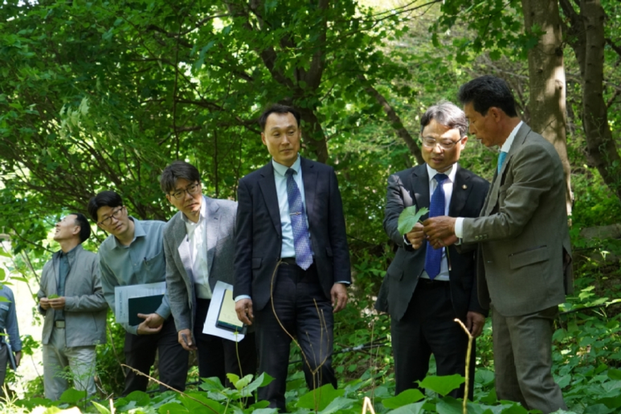 사진3.박은식 산림청장(오른쪽 두번째)이 7일 이 달의 임업인과 함께 함양군 약초골 농원을 점검하고 있다..jpg