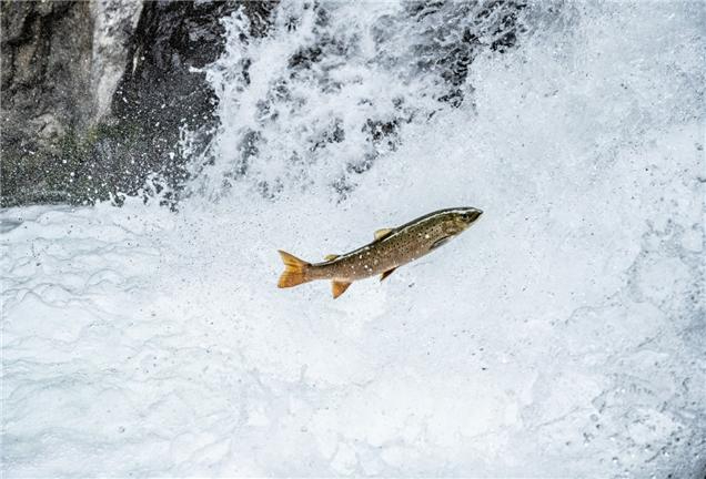 image06.jpg