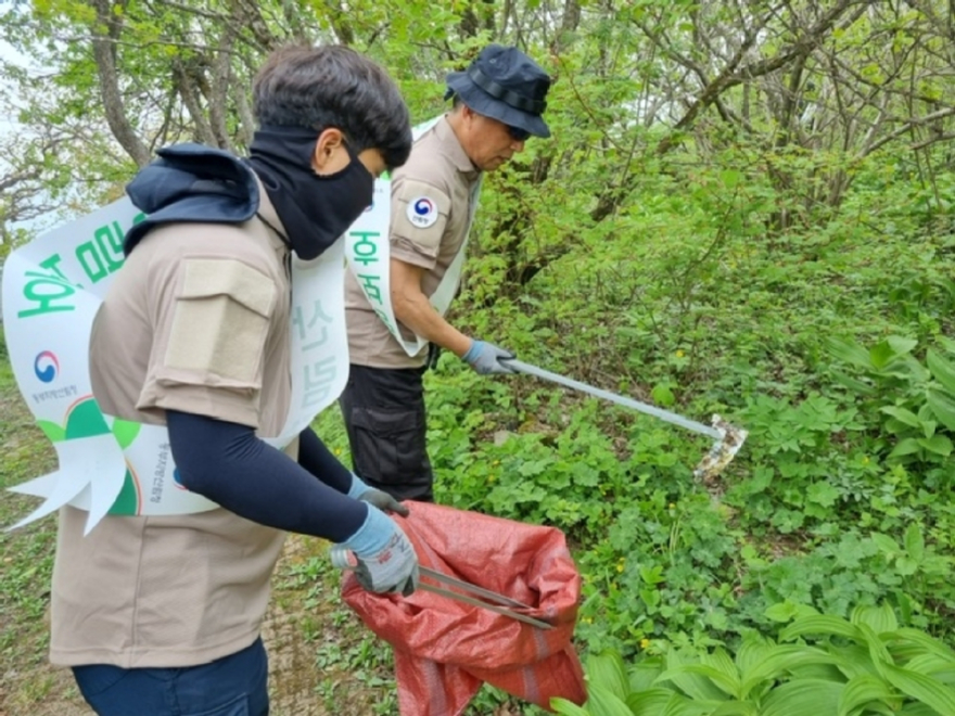 사진2._산림청_관계자가_산림정화_활동을_하고_있는_모습.jpg