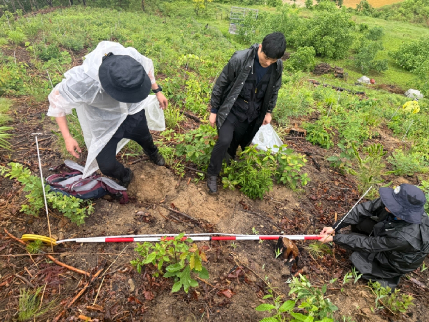 사진4.산림청 관계자가 산림생태복원 사업지를 대상으로 현장점검을 실시하고 있다.jpg