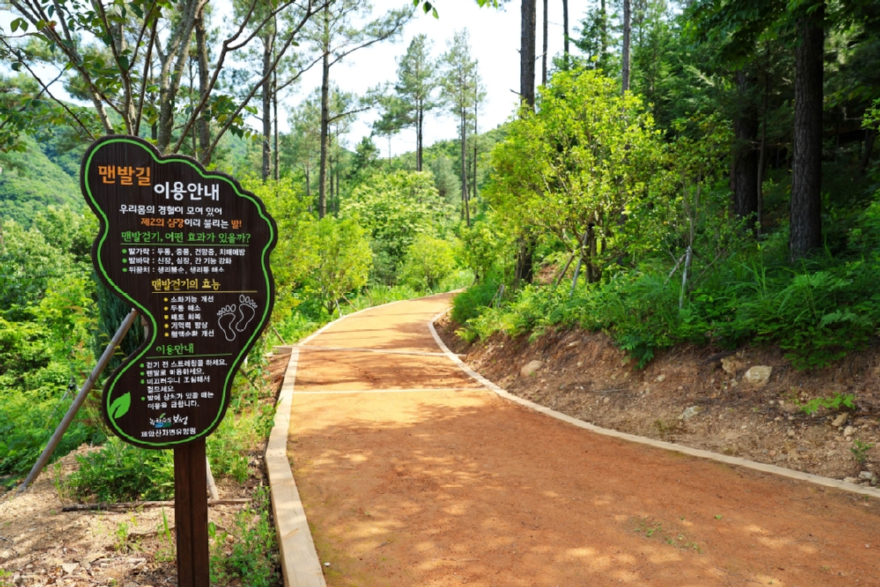 포토뉴스1-3.자연과 호흡하며 걷는다…보성 제암산자연휴양림_총길이 980m로 조성된 숲속 맨발길.jpg