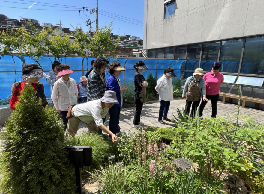 추억정원 그린케어」 2년차 프로그램 참여자들이 정원에서 식물을 살피고 가꾸고 있다. .jpg