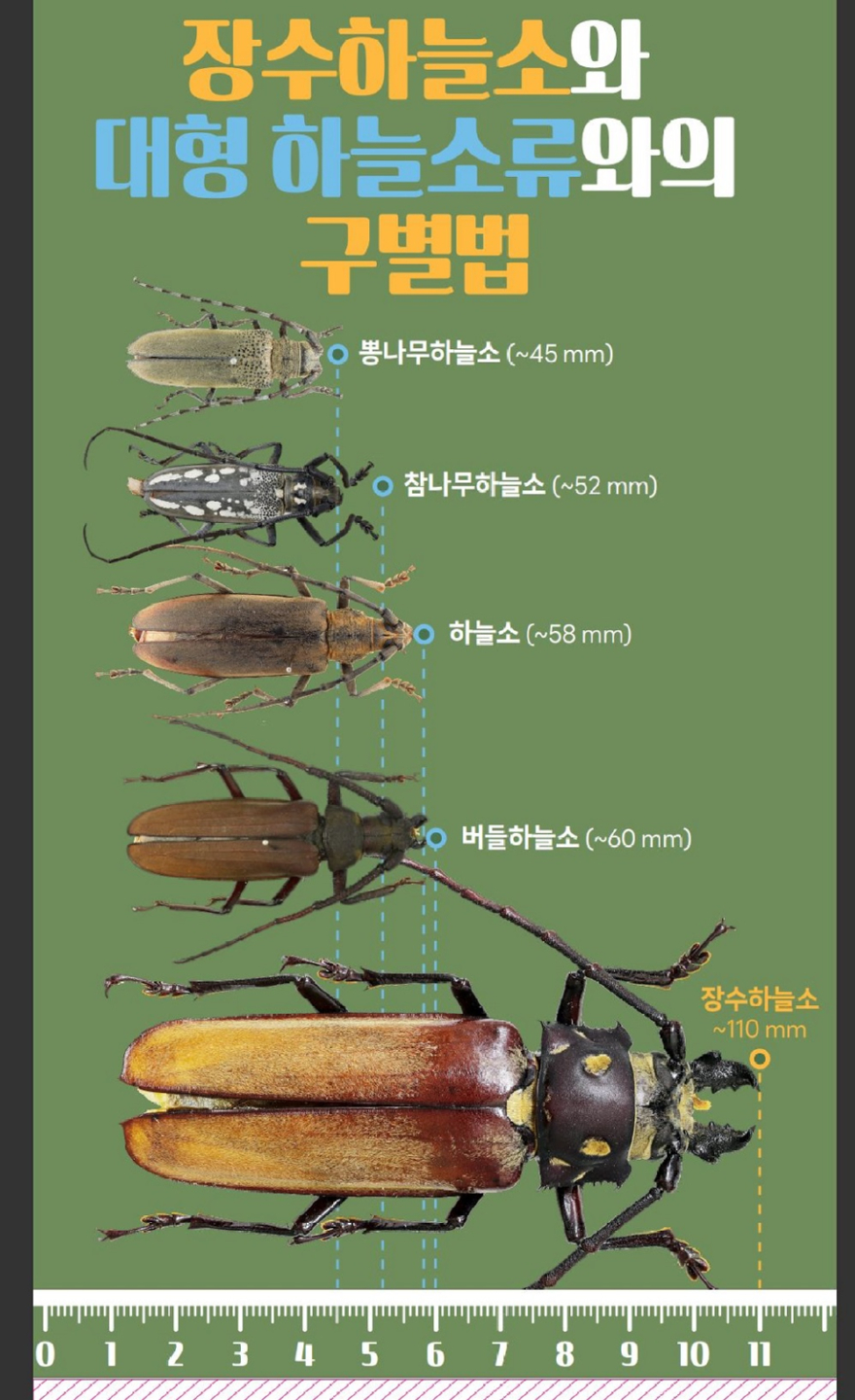 구별법.JPG