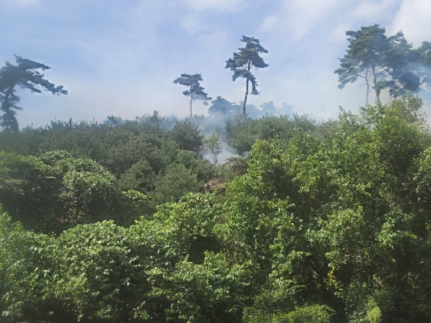 (산림청 제공) 전북 임실 산불 발생 (1).jpg