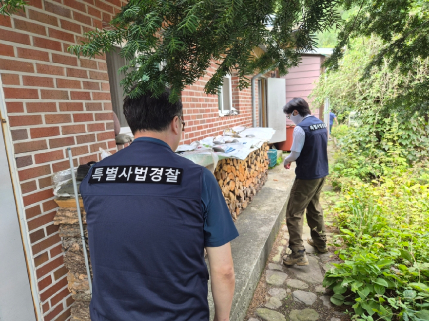 소나무재선충병 단속 장면.jpg