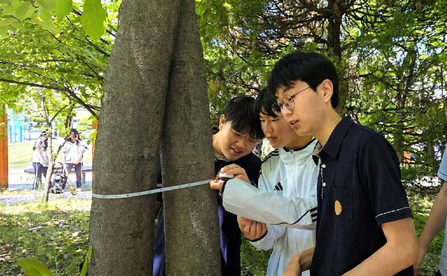 ▲나무 조사 활동중학생들이 영상을 찍기 전 나무의 경제적 효과를 알기위해 i-Tree프로그램에 넣을 나무의 흉고직경을 측정하고 있다..jpg