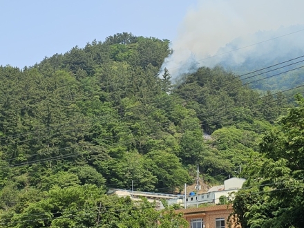 산림당국 경북 울릉 산불.. 진화 완료