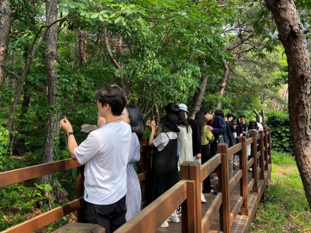 아기와의 첫 숲여행, 산림치유로 건강한 출산 준비