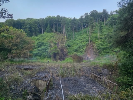 산림당국 경기 남양주 산불발생.. 진화 완료