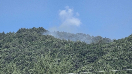 산림당국 강원 인제 산불발생.. 진화 완료