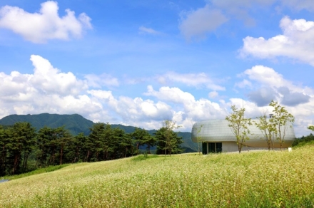 산림청, 백두대간 글로벌 시드볼트 통해 전 세계 종자보전사업 본격화