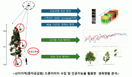 AI와 드론 활용한 산림종자 예측 연구, 본격 추진한다!